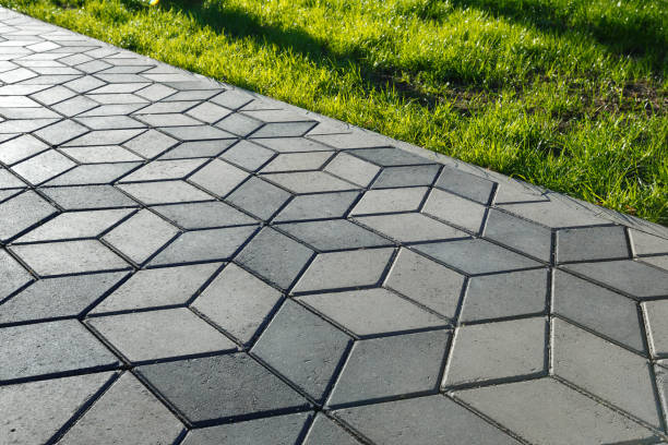 Best Driveway Paving Near Me  in Jackson, WY